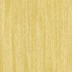 fibra